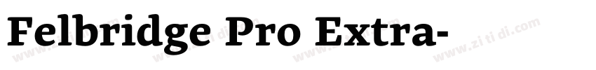 Felbridge Pro Extra字体转换 Felbridge Pro Extra字体转换